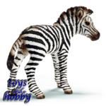 14393 - Zebra foal