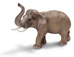 14653 - Asian Elephant, Male