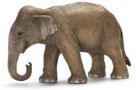 14654 - Asian Elephant, Female
