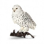 14671 - Snowy Owl