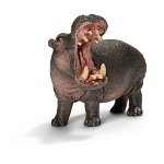 14681 - Hippopotamus