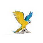 14690 - Blue and Yellow Macaw