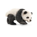 14707 - Giant  panda, cub