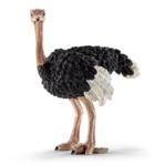 14744 - Ostrich