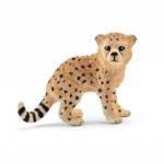 14747 - Cheetah cub