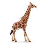 14749 - Giraffe male