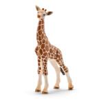 14751 - Giraffe calf