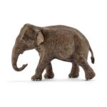 14753 - Asian Elephant Female