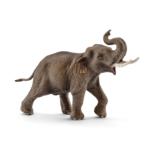 14754 - Asian Elephant Male
