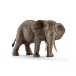 14761 - African elephant female