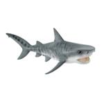 14765 - Tiger shark