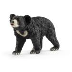 14779 - Sloth Bear